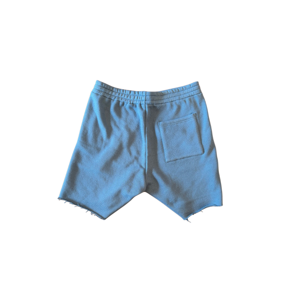 GTM FORM_RAW HEM SHORT
